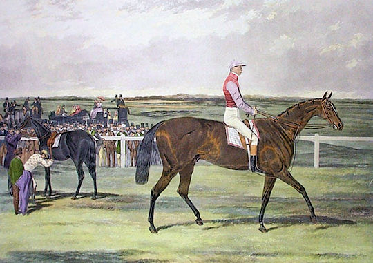 St Leger Winners: St Leger Winner 1854: Knight of St Georg